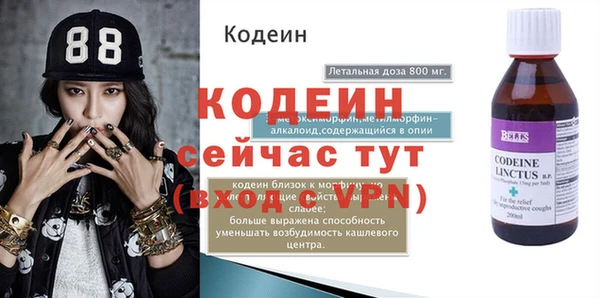 индика Балахна