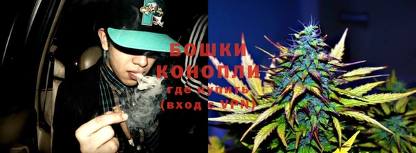спайс Баксан