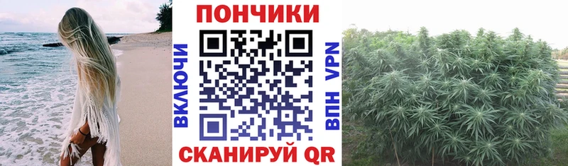 Шишки марихуана семена  купить  сайты  Киселёвск 